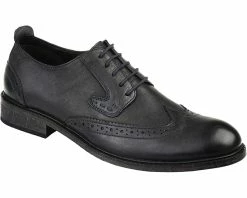Thomas & Vine Uriah Wing Tip Derby