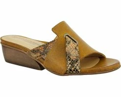 Unity In Diversity Ireland