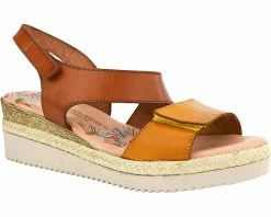 Unity In Diversity Ceja