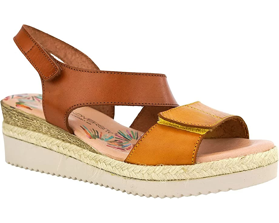 Unity In Diversity Ceja